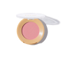 Рум'яна з шиммером і матовим фінішем Paese Selfglow Matte with Glitter 02 Reflex 3г