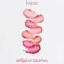 Рум'яна з шиммером і матовим фінішем Paese Selfglow Matte with Glitter 02 Reflex 3г